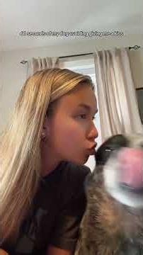 The way my dog looked at me… 🤨🐶 #dog #funny #shorts