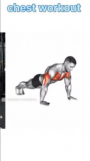 The Ultimate CHEST WORKOUT GUIDE (Best Techniques, Tips & Tricks)