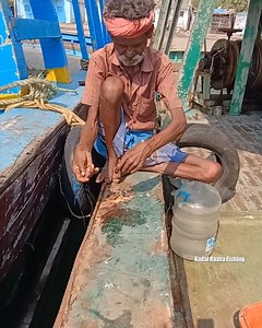 Rabbit fish & catfish Fishing in fishing harbour | Kadal Raasa Fishing