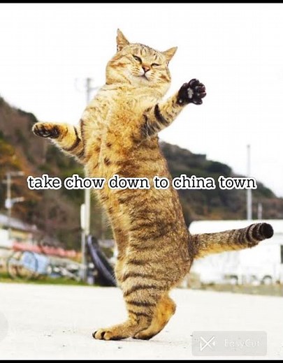 I'm finally ninja meme#meme