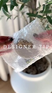 3.6K views · 81 reactions | $24 Ambient Lighting⁣ ⁣ Adding ambient...