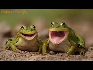 Animal Sounds for Children (20 Amazing Animals)