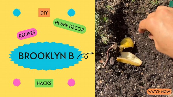 The Secret Banana Peel Trick for Explosive Plant Growth