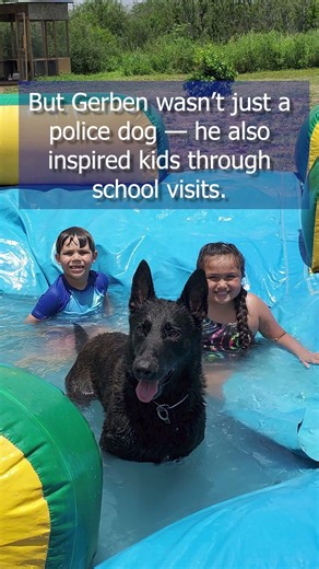 South Texas K9 Gerben dies after short battle with cancer