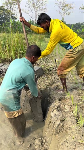 The Unique Tradition of Soil Selling in Barisal