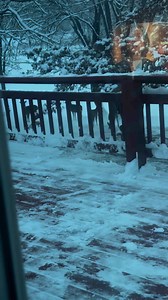 4K views · 54 reactions | 2/3/25 - Finely got measurable snow and the deer came in not long after it stopped. | D&R Processing - Wild game processing | Facebook