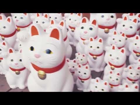 Tokyo Itinerary 2 Days 🇯🇵 Things to Do in Tokyo | Kamakura, Enoshima & Meiji Shrine