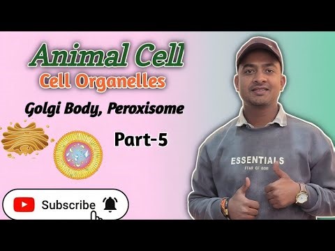 Golgi Apparatus, Peroxisome and Centrosome complete Explaination of Animal Cell | class 8-12
