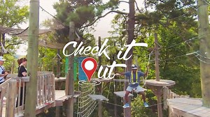 161 reactions · 47 shares |  Looking for a little adventure?...