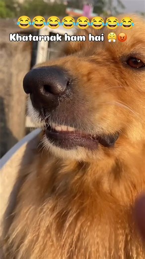 #RelatableMemes #creatorsearchinsights2025 #LOL #FunnyMemes #TikTokMemes