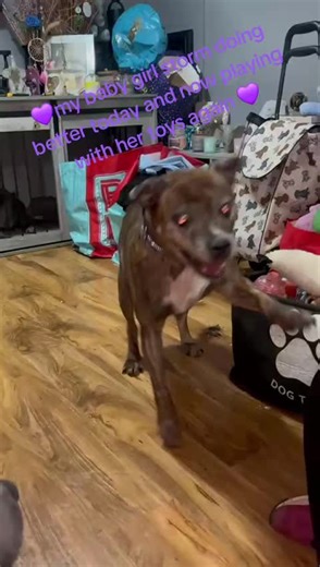 charlie (@charliejarvis88)’s videos with original sound - 70s 80s 90s Classics