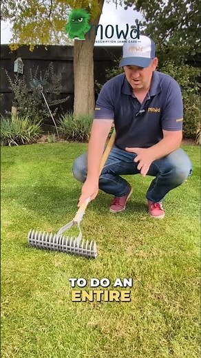 Transform Your Lawn - The Ultimate Thatch Removal Tool