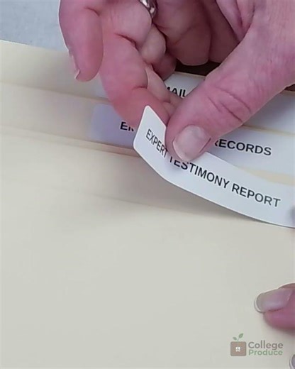 HOW PROFESSIONALS LABELS EXHIBITS