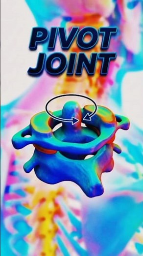 Pivot Joint Explained | human bone joint | Anatomy