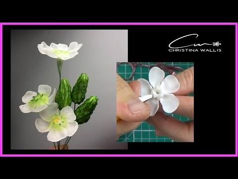 Sugar Filler Flowers, No Cutters / Free Form , how to Tutorial ( 2021)