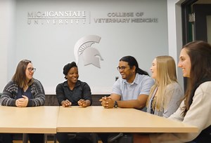 Training the Next Generation of Veterinary Clinician Scientists