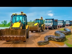 Two JCB 3dx Backhoe Machine And Four Trucks Were Going To Load Soil, they found a Snake On The Road