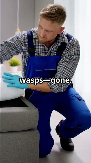 Emergency Pest Control in Miami, FL | 24/7 Exterminator – Call +18883051120