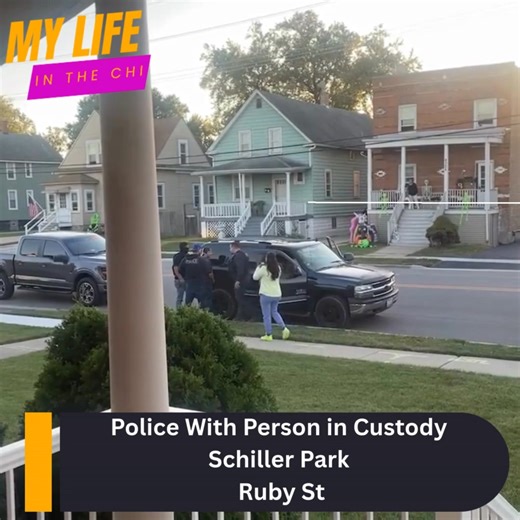 8.5K views · 59 reactions | Person in Custody Schiller Park Ruby St | My Life In The Chi | Facebook