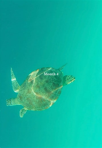 Where does all the time go 🥲🥲🥲🥲🥲 #backpacking #traveltiktok #philipines #japan