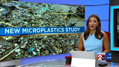 Report: Plastic packaging is direct source of microplastics in food