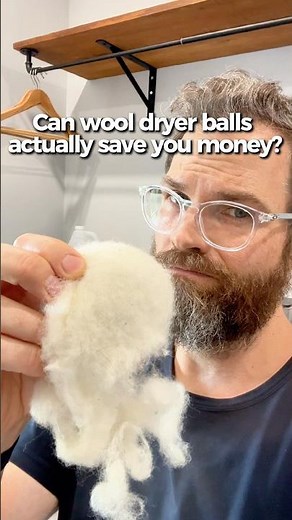 The Truth About Wool Dryer Balls… (Featuring Remy 🐶)
