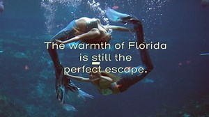 10K views · 151 reactions | DYK? The first Weeki Wachee Springs mermaid show took place in 1947! Have you visited Weeki Wachee Springs State Park? #LoveFL : 1961 footage from State Archives of Florida | VISIT FLORIDA | Facebook