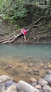 iBrU6haV1-Videos-Movies-on-Vimeo