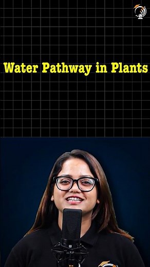 Water Pathway in Plants: IGCSE Biology 🌱 #PW #IGCSE #Biology