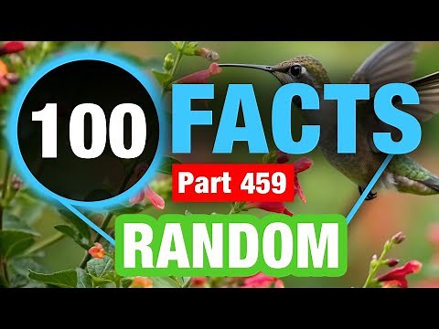 100 Amazing Random Facts | Weird Fun Facts You Won’t Believe