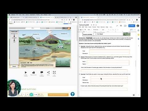 Carbon Cycle Gizmo Instructional Video