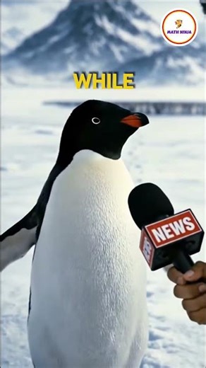 choose Math Ninja now