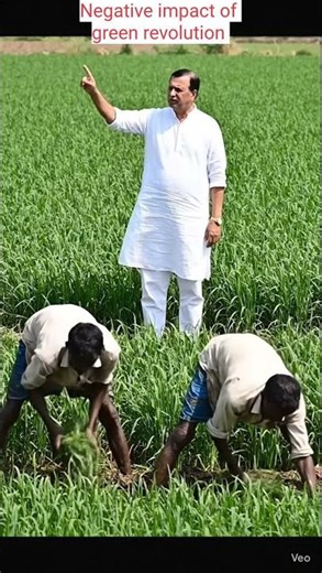 Green revolution negative impacts increased inequality ,benefits few regions. environmental damage