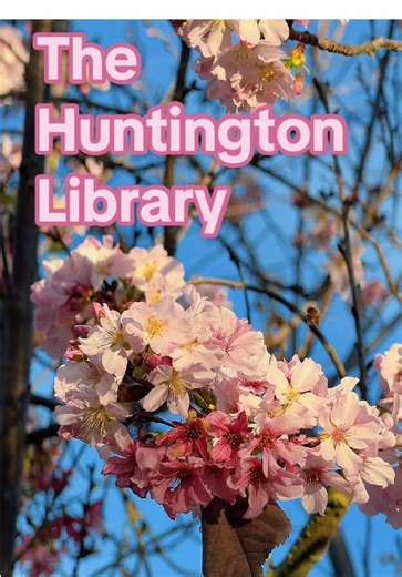 Experience the Beauty of The Huntington Library