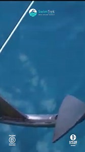 1.3K views · 17 reactions | Lycian Way... In 60 Seconds! ‍♀️ Dive into some of the clearest Mediterranean waters off Turkey's Turquoise Coast  https://www.swimtrek.com/packages/swimming-holiday-lycian-way-turkey Clips from Andrew Cole  | SwimTrek Swimming Holidays | Facebook