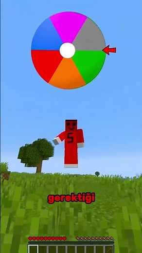 In Minecraft, the wheel decides the colors!! #shorts