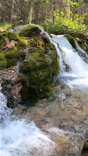 Unexpected Dance in the Kitchen: A Heartwarming Moment #LoveStory #Dance #Romance