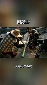 「ひまわりの種を行儀よく食べる」大谷翔平に関する雑学メジャーでも殻を散らかさず、所作まで一流。