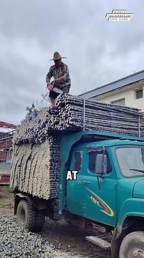 57K views · 281 reactions | Why do sugarcane farmers cut the roots before selling? 樂 #worldcountrysidelifevlog #Sugarcane #FarmingTips #Agriculture DISCLAIMER NO COPYRIGHT INFRINGEMENT INTENDED | World Countryside Life Vlog | Facebook