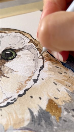 252K views · 157 reactions | My barn owl portrait ✨ Working on this...