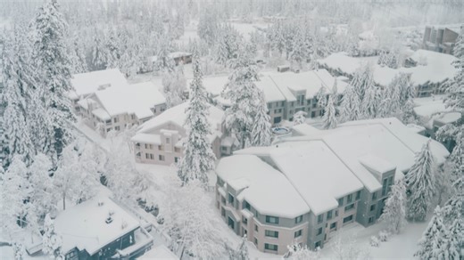 Take a 2-minute ride down Sierra mountain with hot-shot skier in fresh powder
