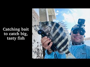 Kayak Fishing in South St. Augustine, FL (Crescent Beach) for SHEEPSHEAD