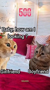 76K views · 1.1K reactions | #usa_tiktok #viralshots #cat #CatMemes #fyp #funnyvideos #shorts #viral #foryou #viralvideochallenge | Cat Meme Hub | Facebook