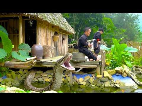 Giant python unexpectedly attacks dwarf family from underwater - Gardening, primitive life