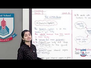 Class 5 - Science - Chapter 01- Lecture 45 The human Body 1.5 - Allied Schools