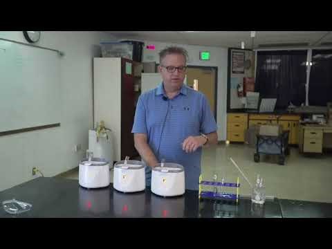 Enzyme Lab: Temperature Levels