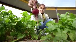 Hear from Special Education Program Director Ms. Sylvia Cardenas as we continue to recognize our Donna ISD Board of Trustees during School Board Recognition Month. | Donna Independent School District