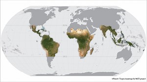 Transforming forest monitoring through innovation: FAO and the NICFI Satellite Data Program