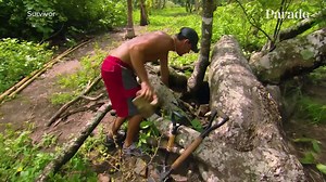 'Survivor' legends expose what actually wins the game