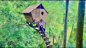 Building Bamboo House TIMELAPSE Alone Girl Build A Bamboo House | Sérgio
